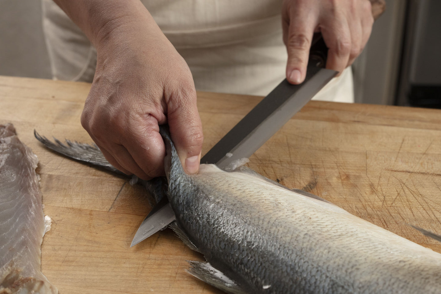 KURO Kurouchi Carbon Steel Clad Sujihiki