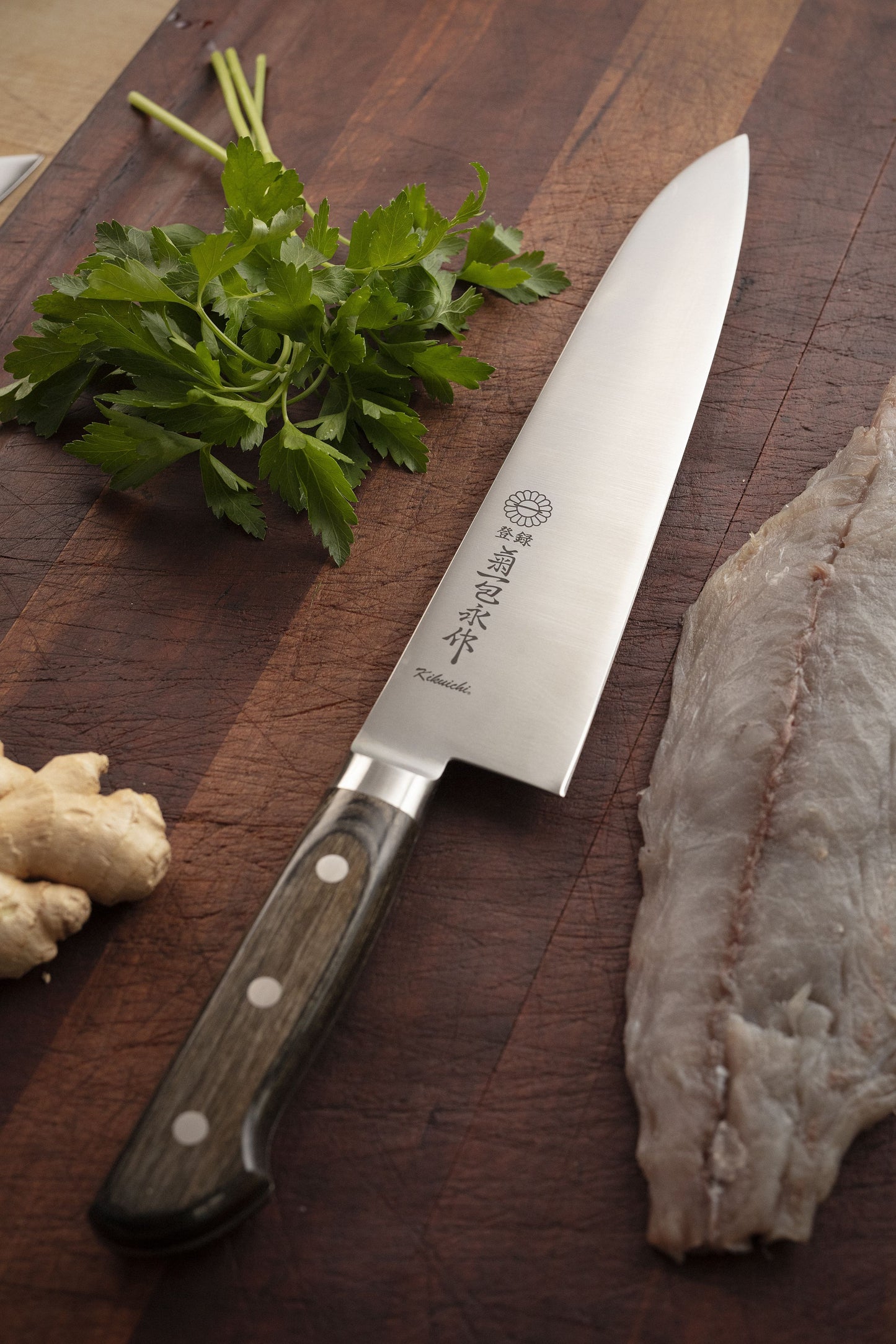OUTLET - SEM Series Semi-Stainless Gyuto